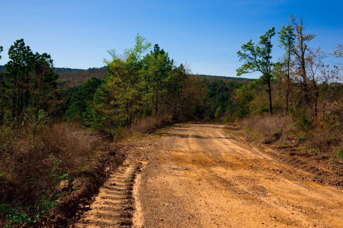 Decorative background for Stone Creek Phase II Tract 225 image 5