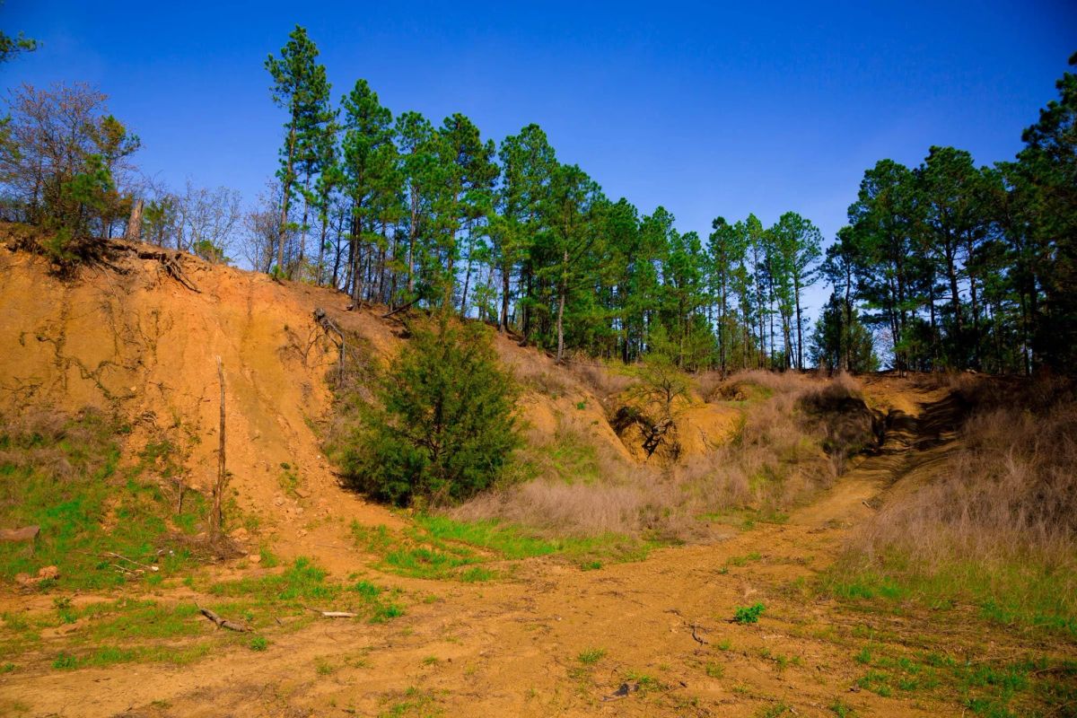 Decorative background for Stone Creek Phase II Tract 225 image 10