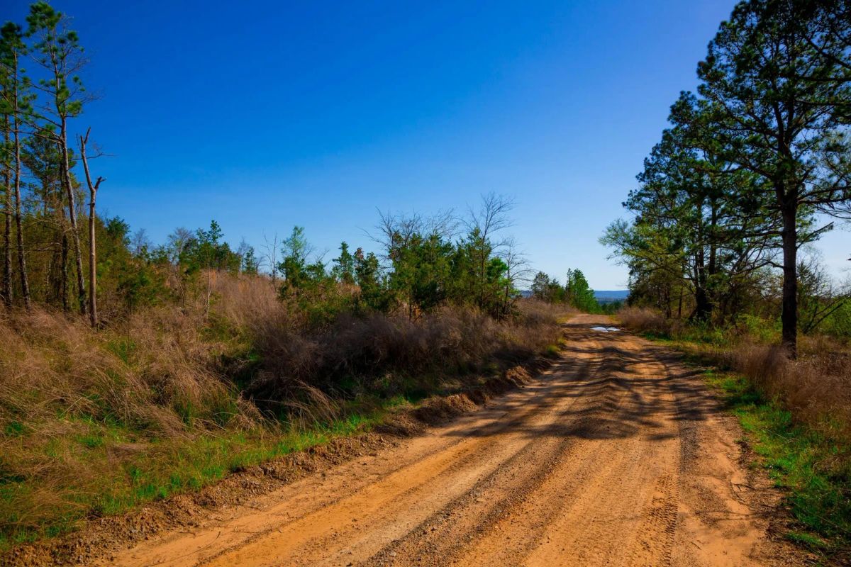 Decorative background for Stone Creek Phase II Tract 225 image 11