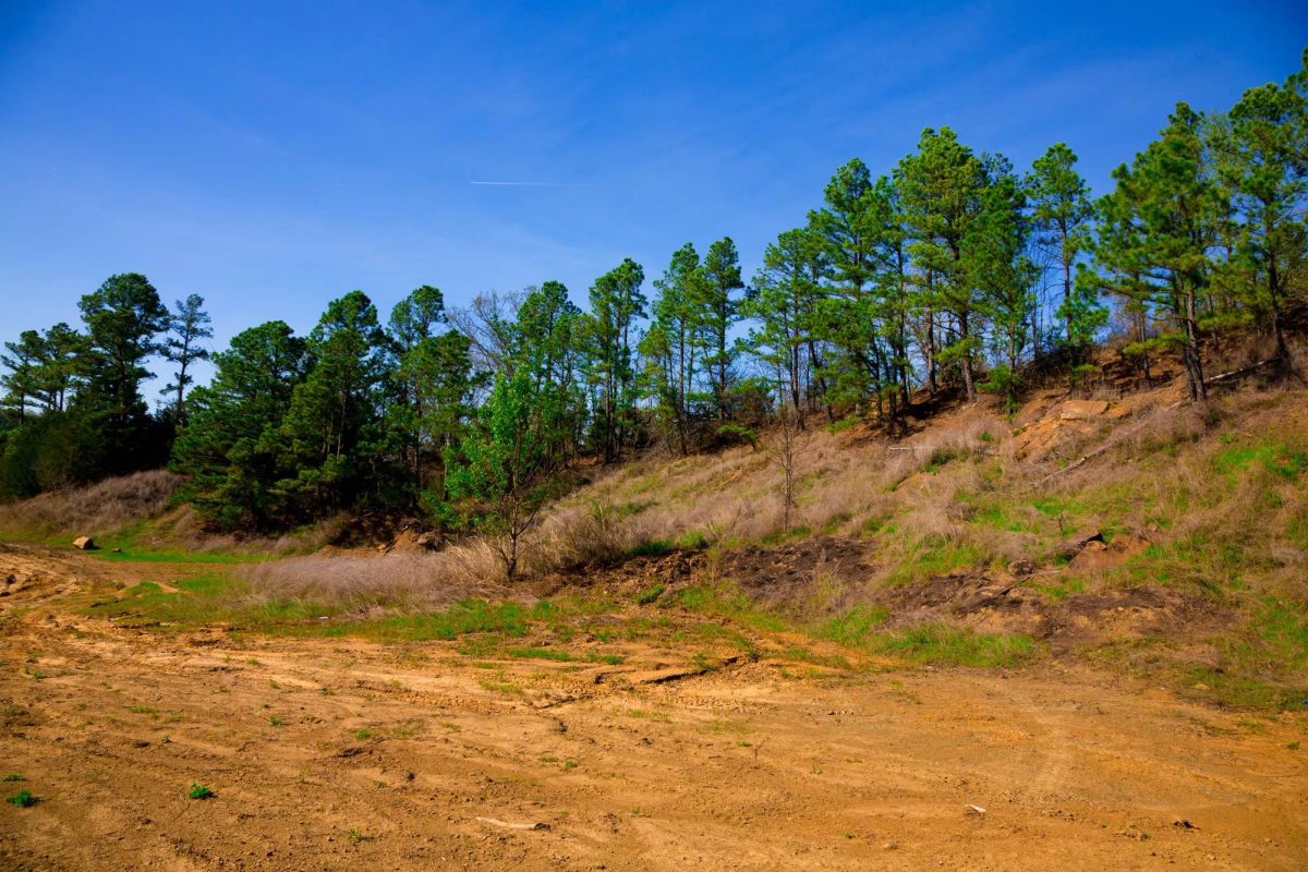 Decorative background for Stone Creek Phase II Tract 225 image 12
