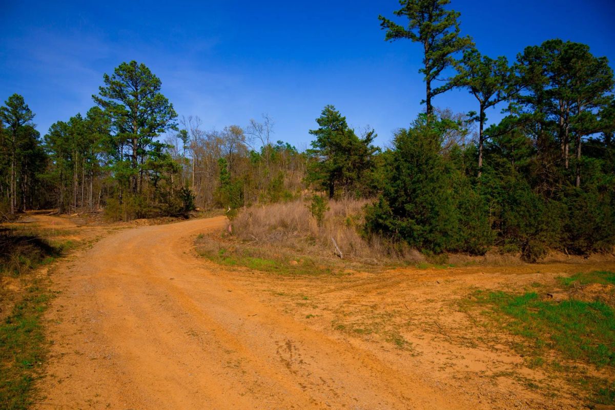 Decorative background for Stone Creek Phase II Tract 225 image 13