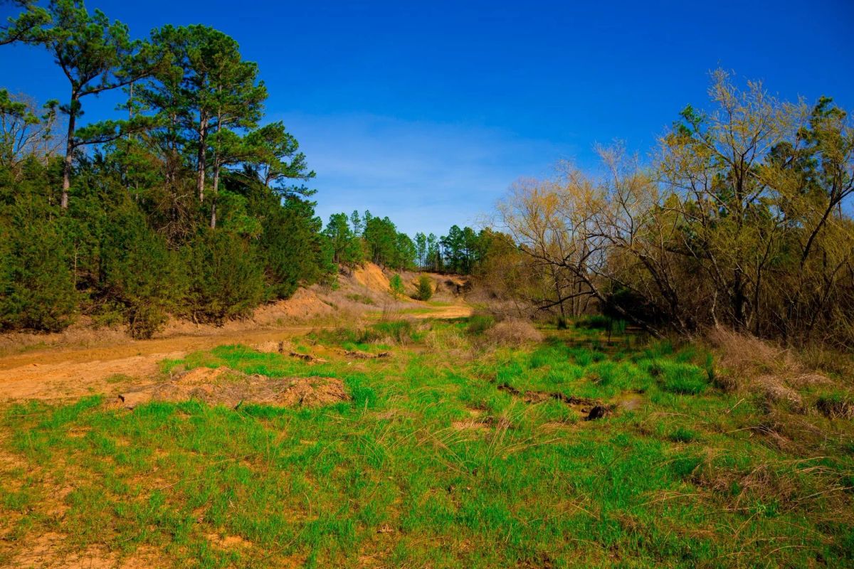 Decorative background for Stone Creek Phase II Tract 225 image 14