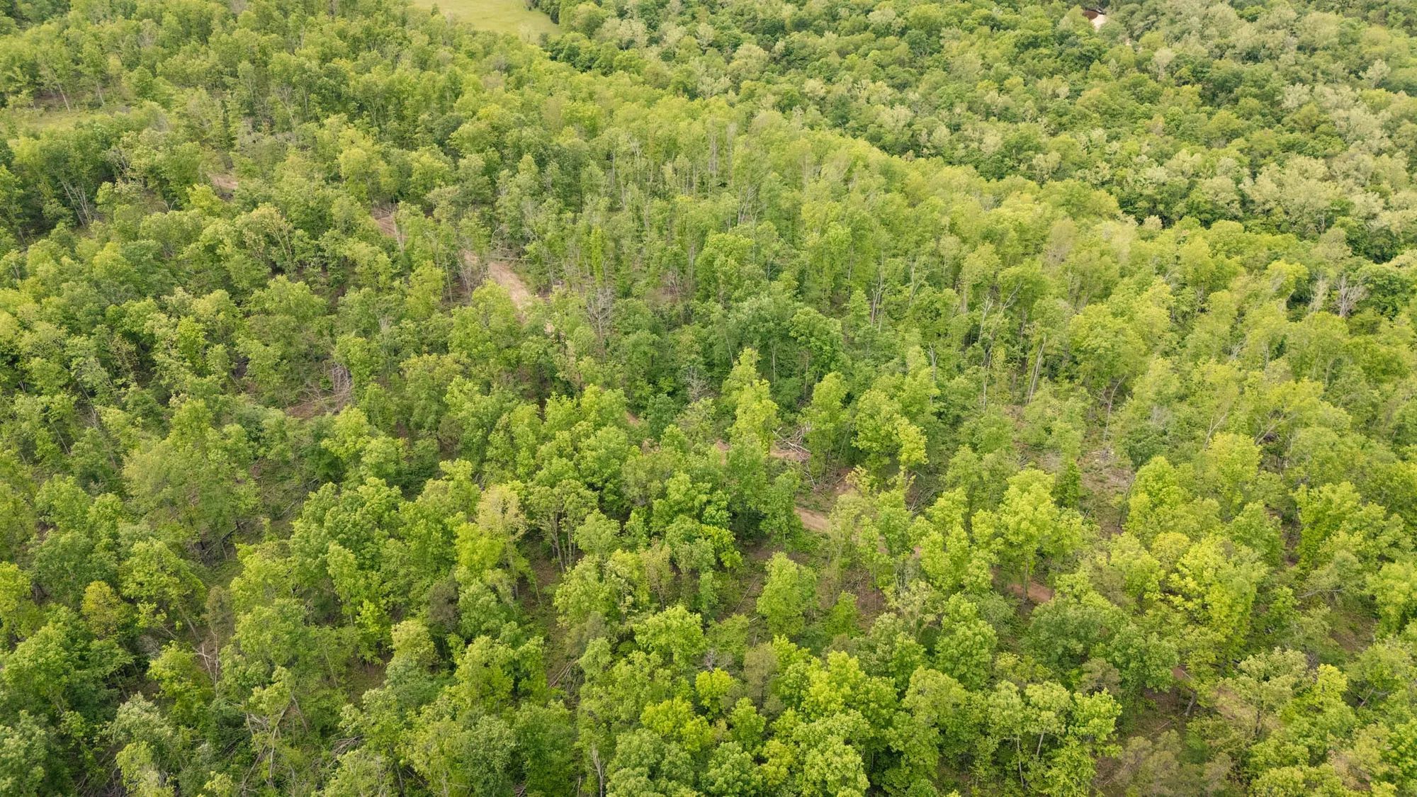 Stardust Estates Tract 16 in Reynolds County, MO