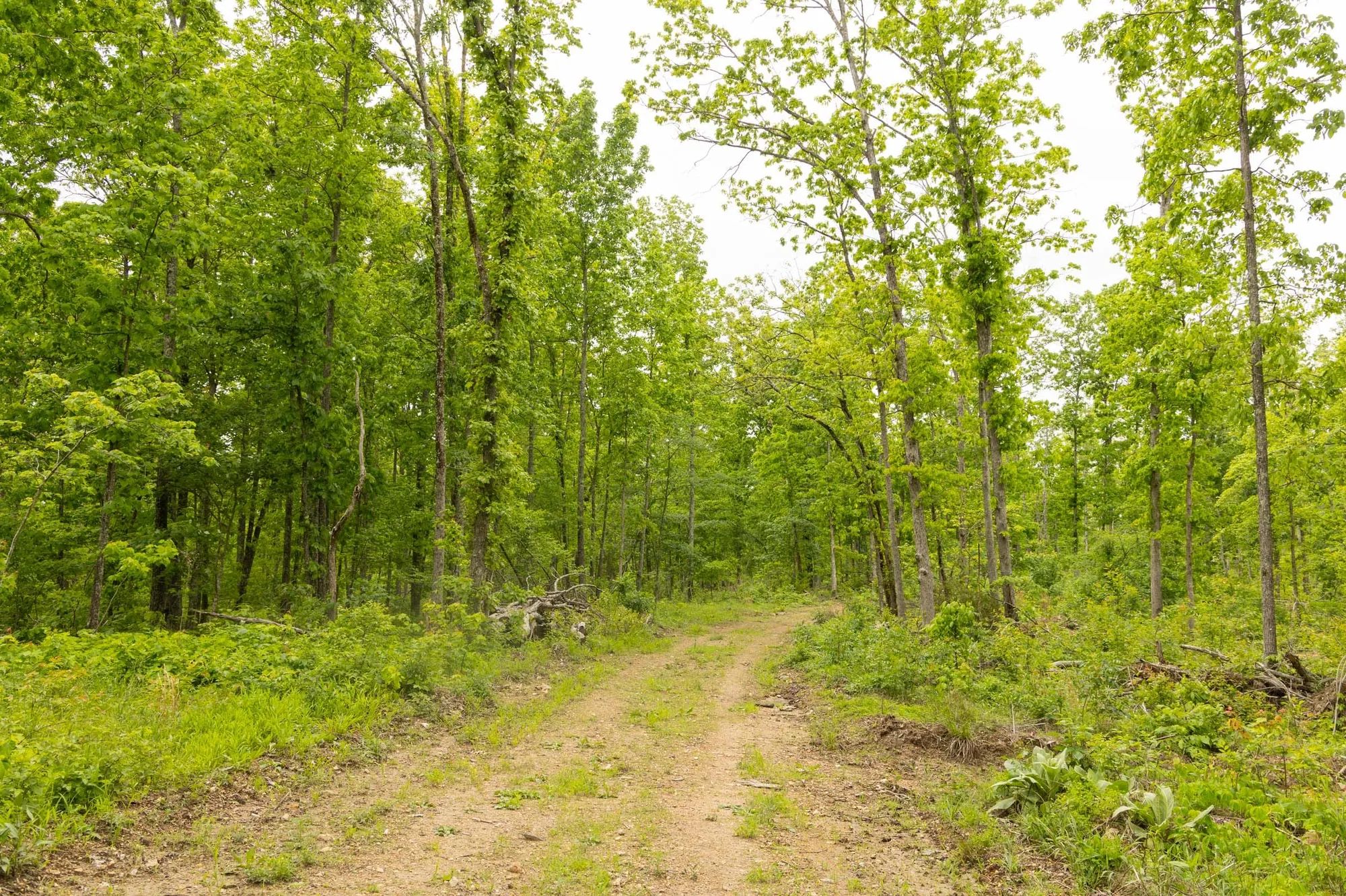Stardust Estates Tract 16 in Reynolds County, MO