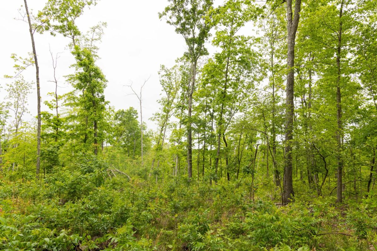 Stardust Estates Tract 16 - Image 4