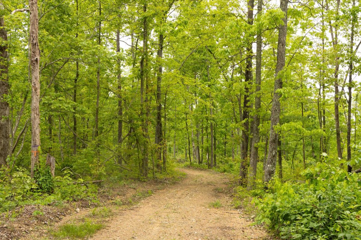 Decorative background for Stardust Estates Tract 16 image 8