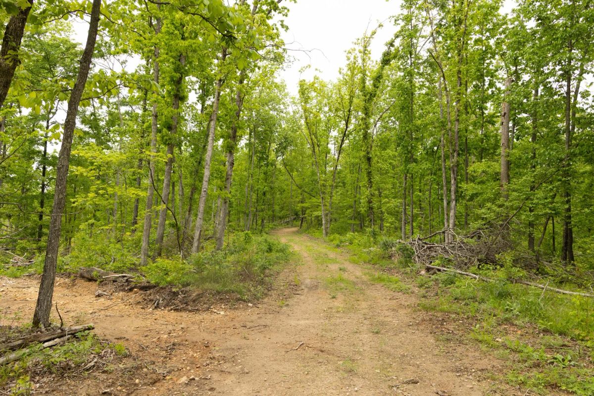 Decorative background for Stardust Estates Tract 16 image 11