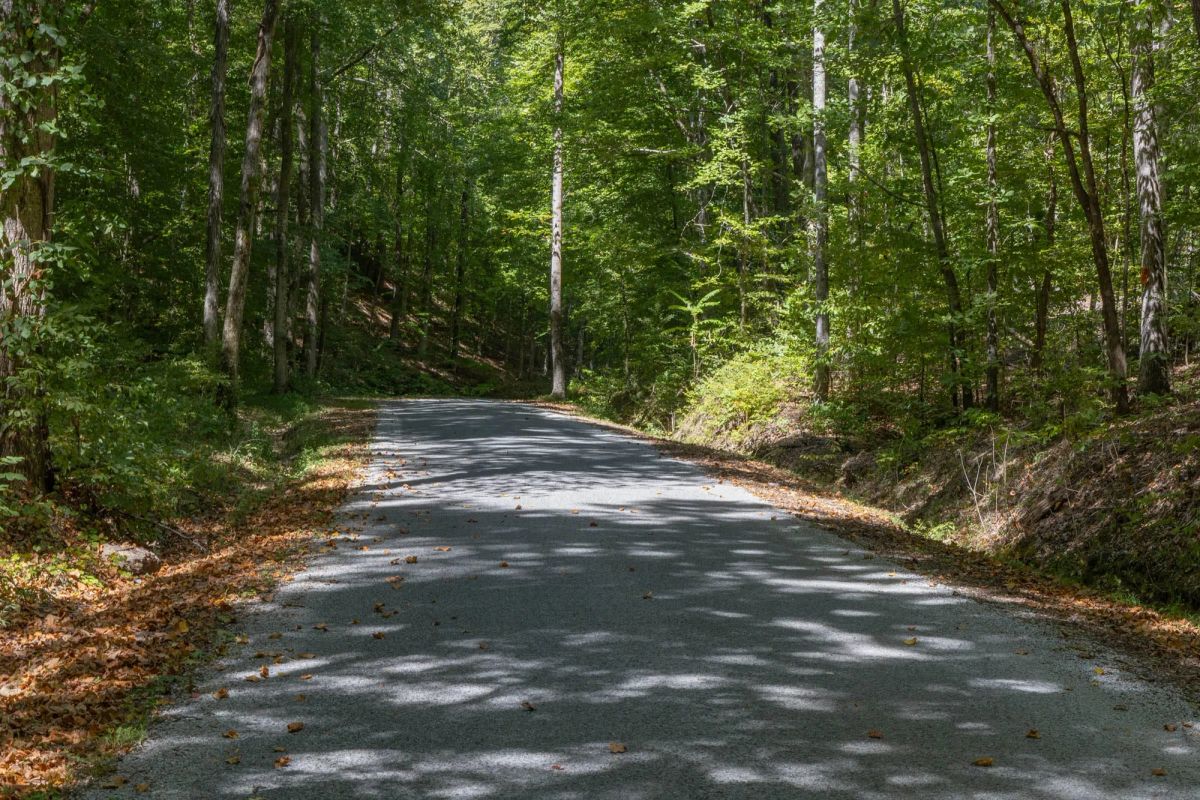 Big White Oak Tract 26 - Main image