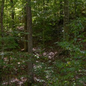 Big White Oak Tract 26 in Perry County, TN
