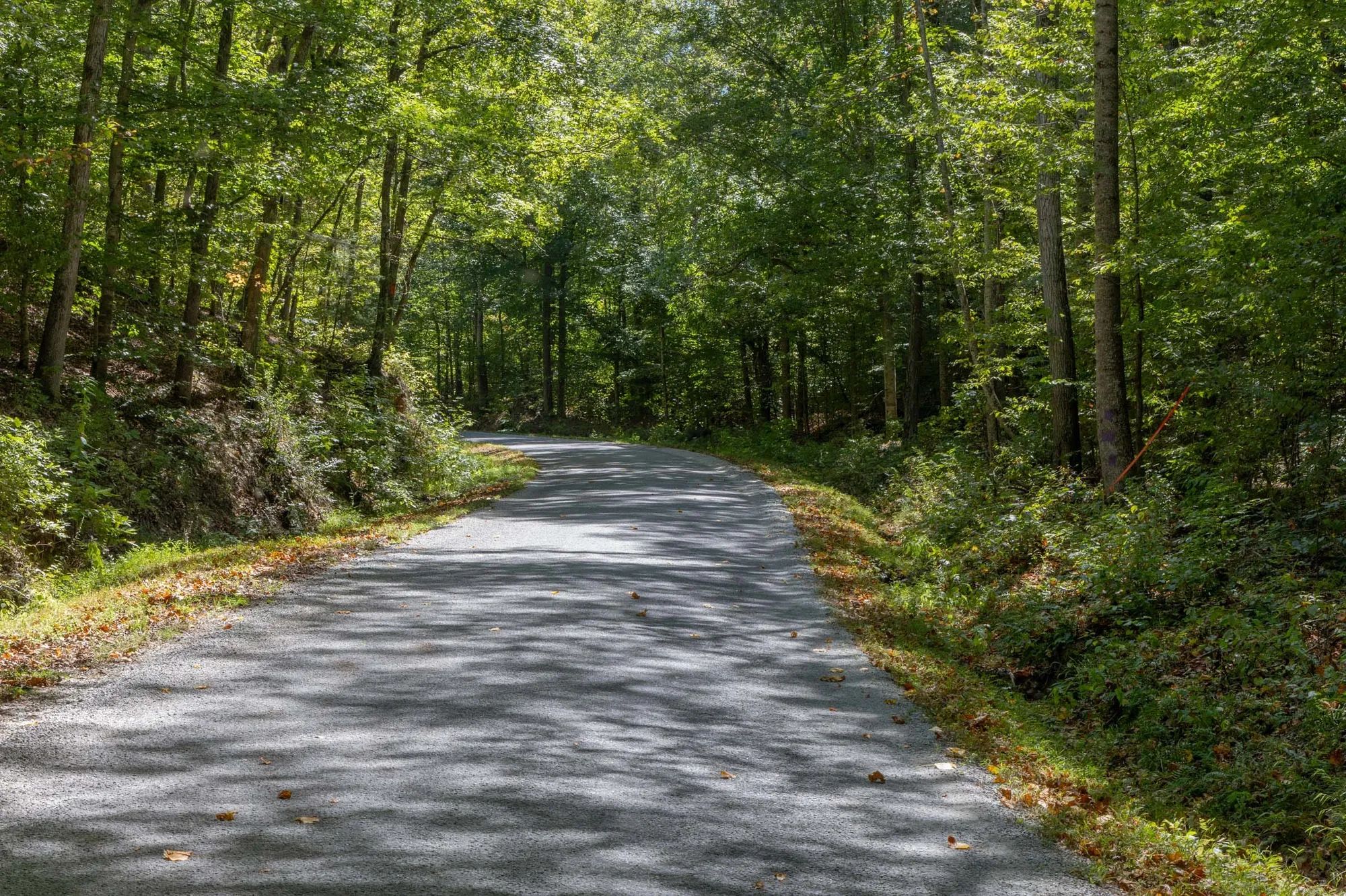 Big White Oak Tract 26 in Perry County, TN