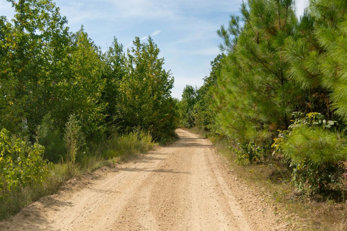 Decorative background for Big White Oak Tract 26 image 9