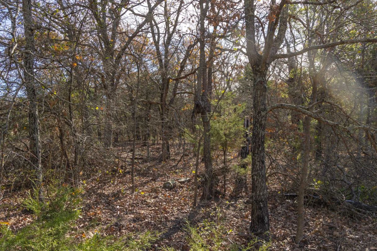 Harmony Hills Tract 45 - Image 4