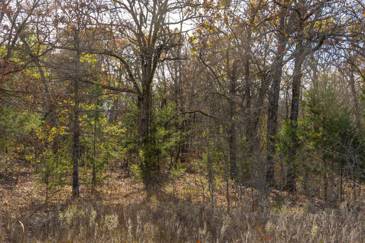 Decorative background for Harmony Hills Tract 45 image 5