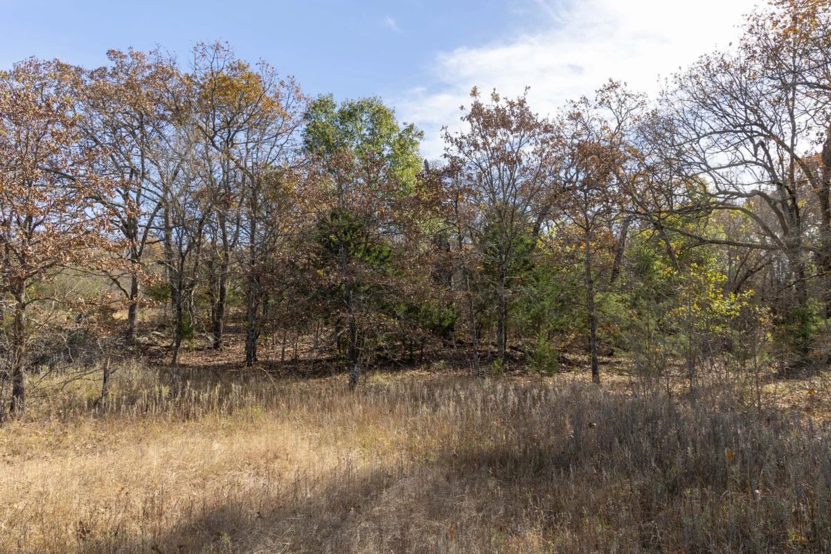 Decorative background for Harmony Hills Tract 45 image 7