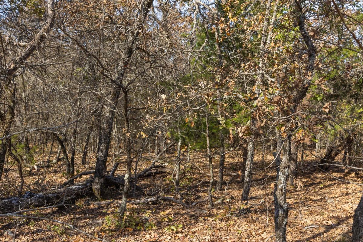 Decorative background for Harmony Hills Tract 45 image 8