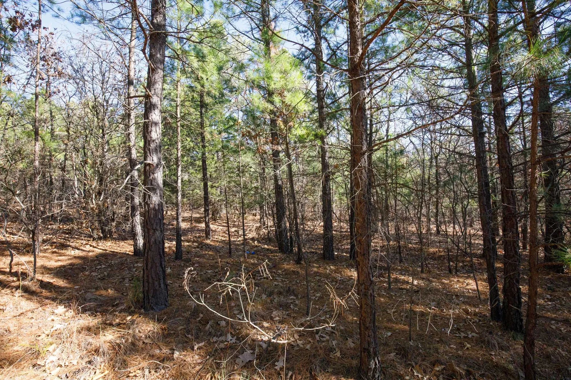 Stone Bridge Phase II Tract 102 in Latimer County, OK