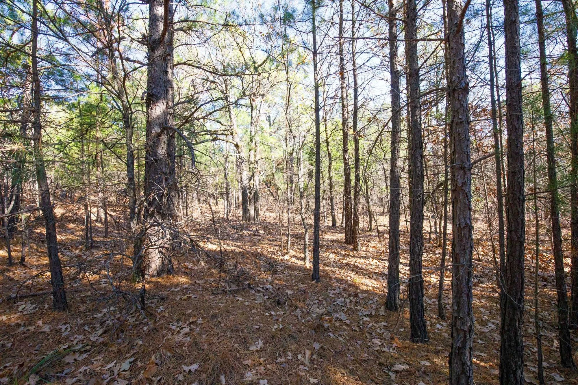 Stone Bridge Phase II Tract 102 in Latimer County, OK