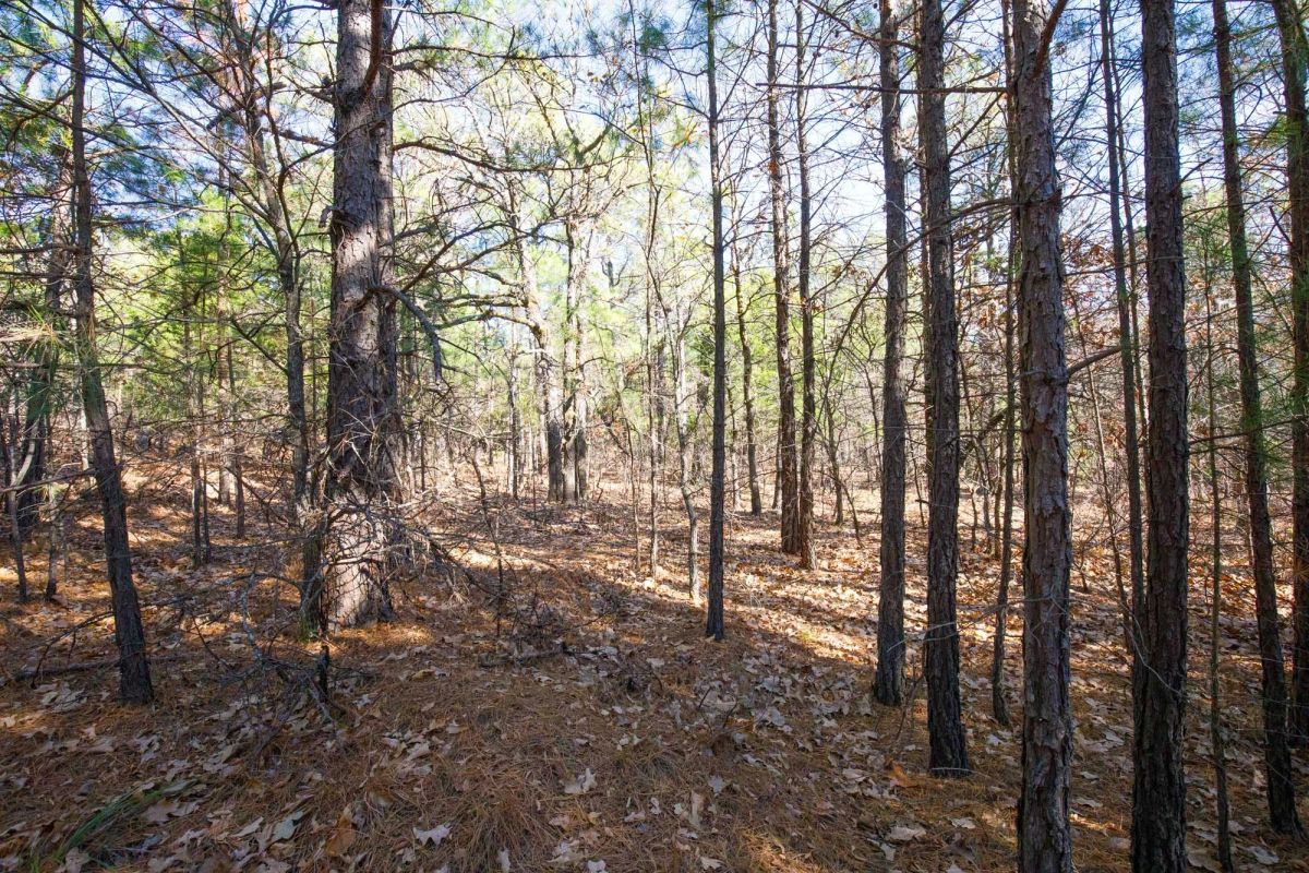 Stone Bridge Phase II Tract 102 - Image 3