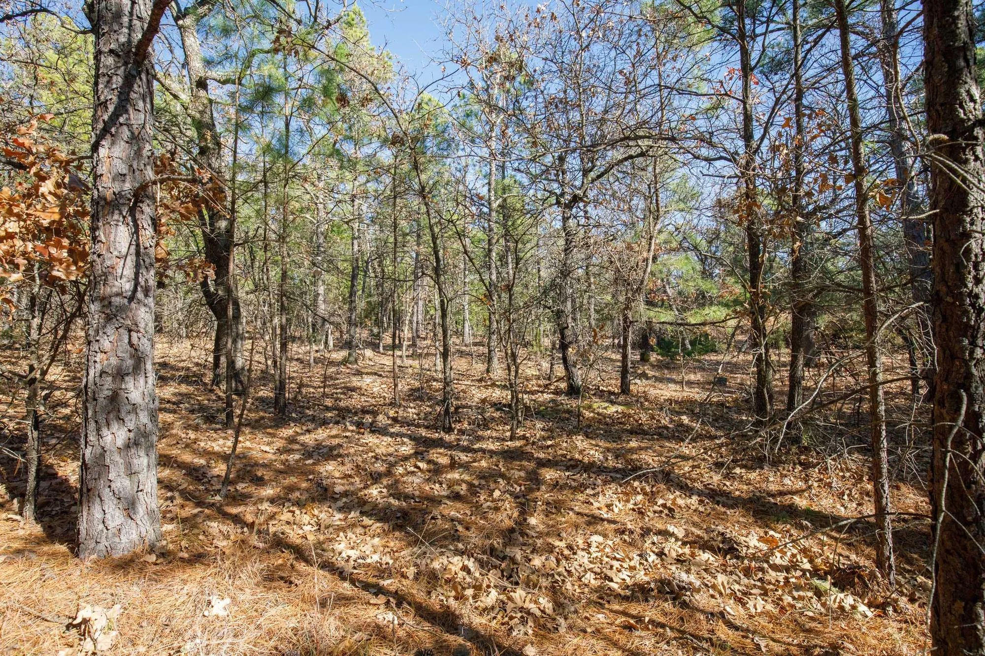 Stone Bridge Phase II Tract 102 in Latimer County, OK