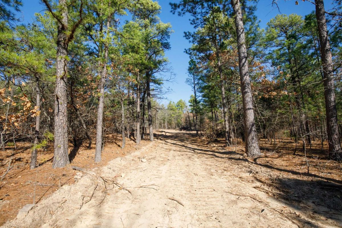 Decorative background for Stone Bridge Phase II Tract 102 image 6