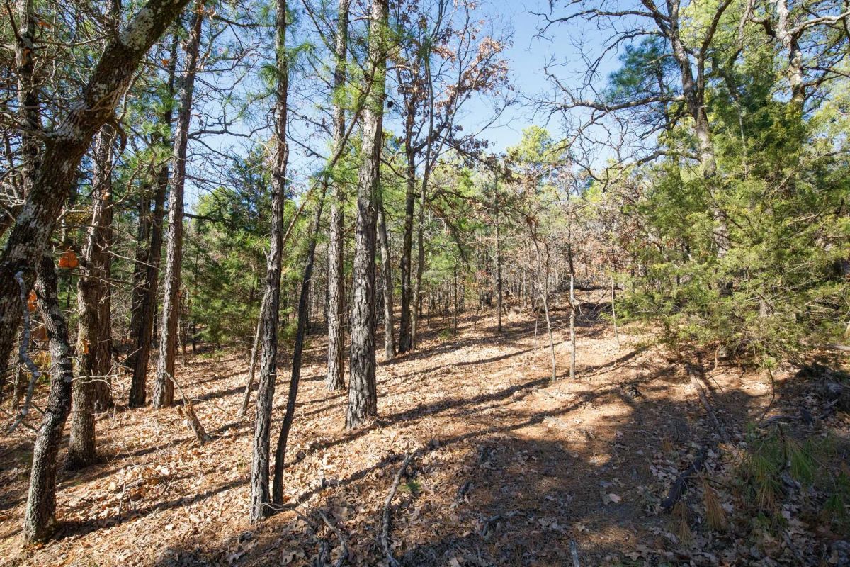 Decorative background for Stone Bridge Phase II Tract 102 image 7