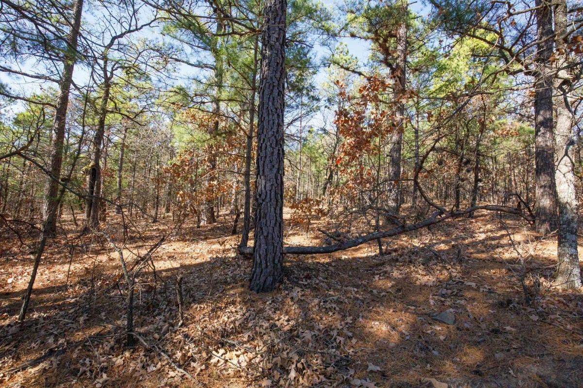 Decorative background for Stone Bridge Phase II Tract 102 image 9