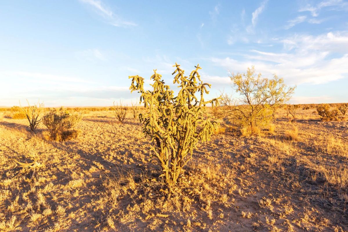 Sunrise Ranches Phase III Tract 137 - Image 3