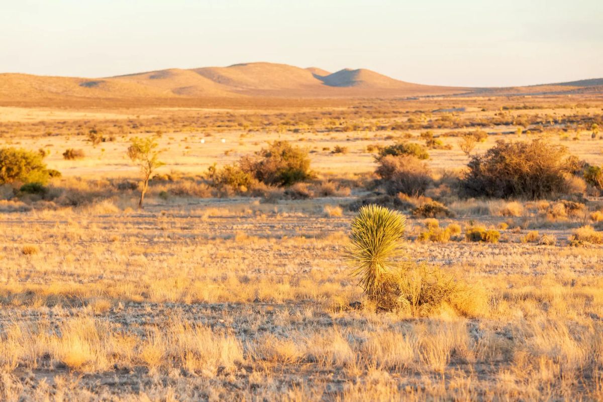 Decorative background for Sunrise Ranches Phase III Tract 137 image 5