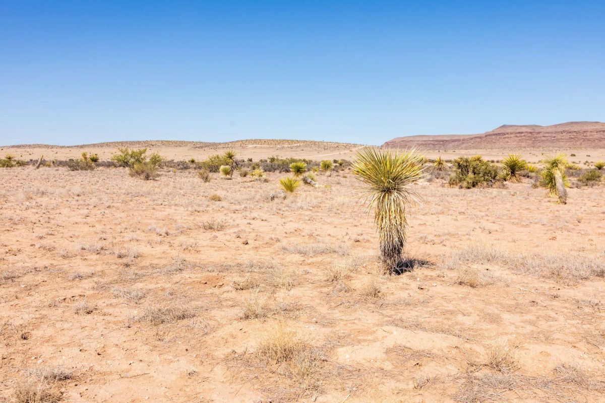 Decorative background for Sunrise Ranches Phase III Tract 137 image 6