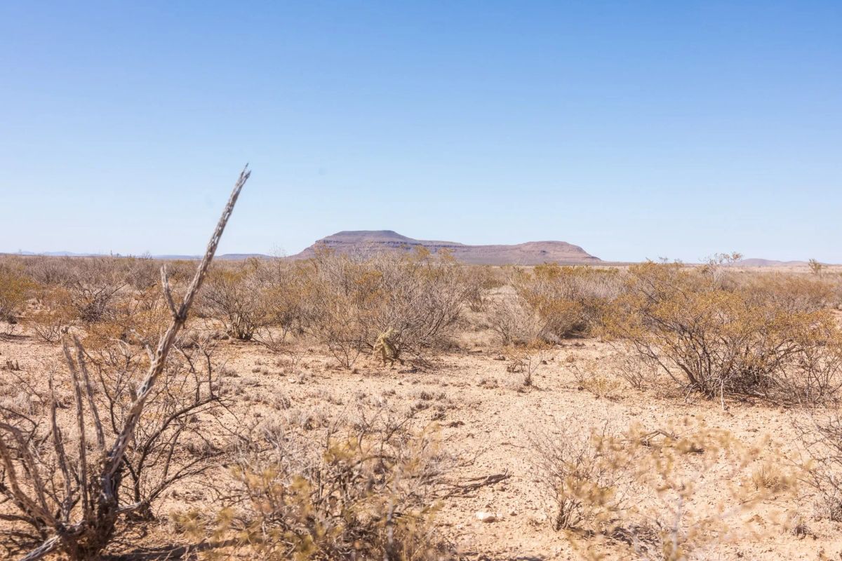 Decorative background for Sunrise Ranches Phase III Tract 137 image 8