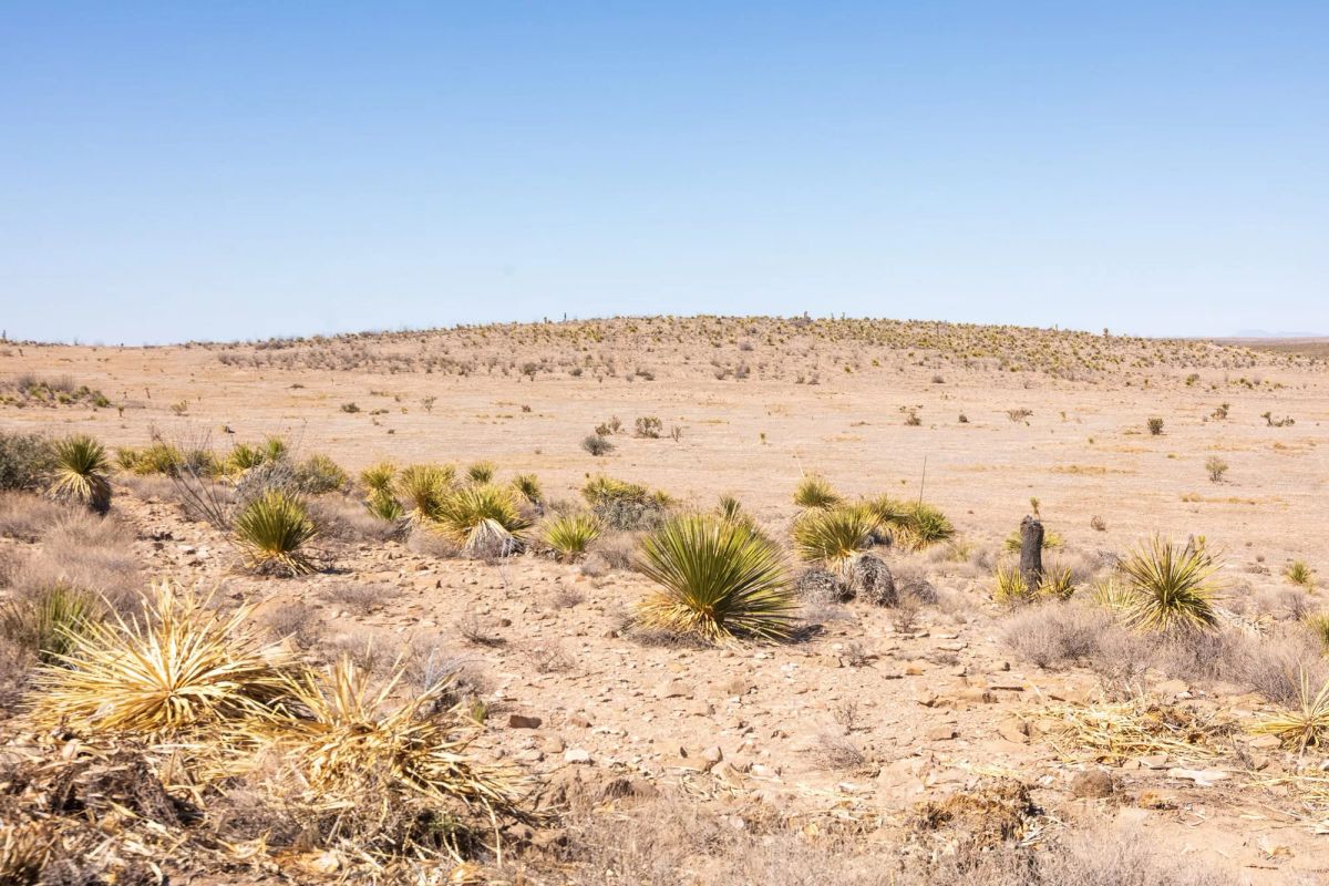 Decorative background for Sunrise Ranches Phase III Tract 137 image 9