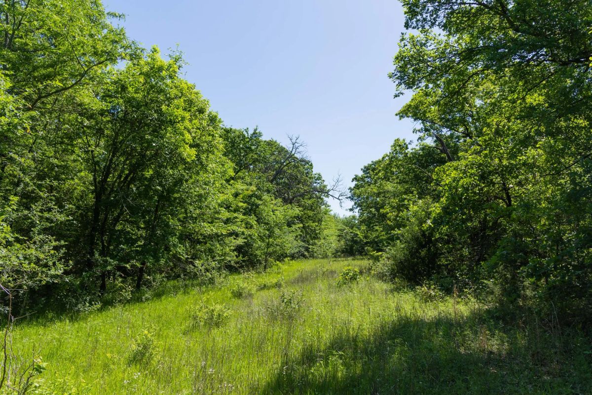 Harmony Hills Tract 34 - Main image