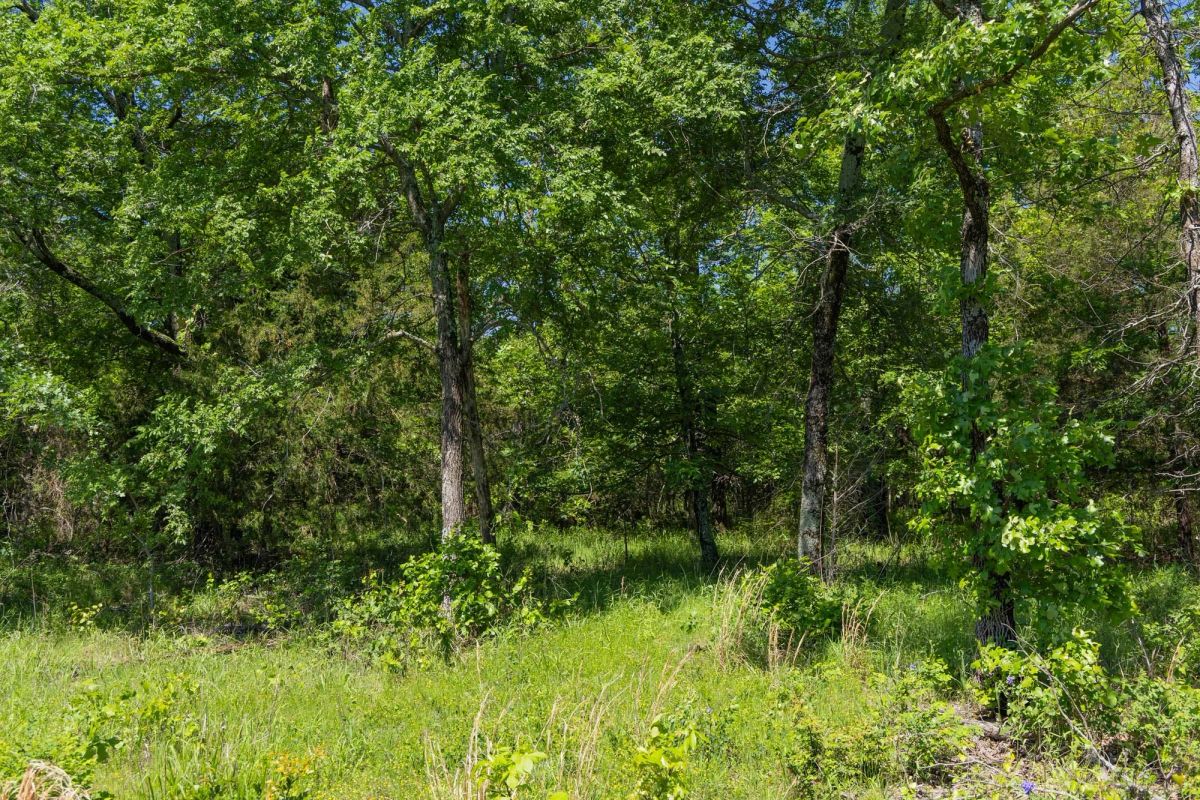 Decorative background for Harmony Hills Tract 34 image 5