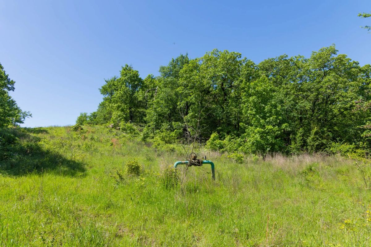 Decorative background for Harmony Hills Tract 34 image 7