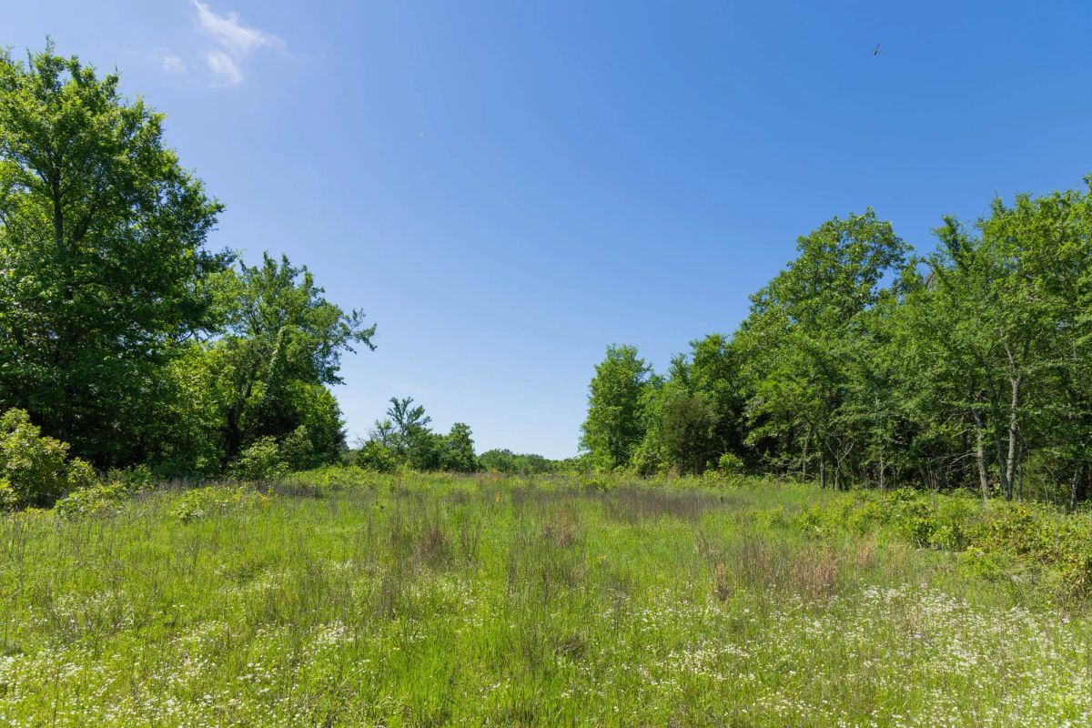 Decorative background for Harmony Hills Tract 34 image 10