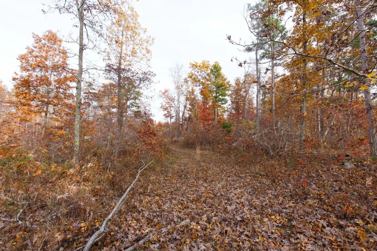 Hawkcrest Tract 31 - Main image