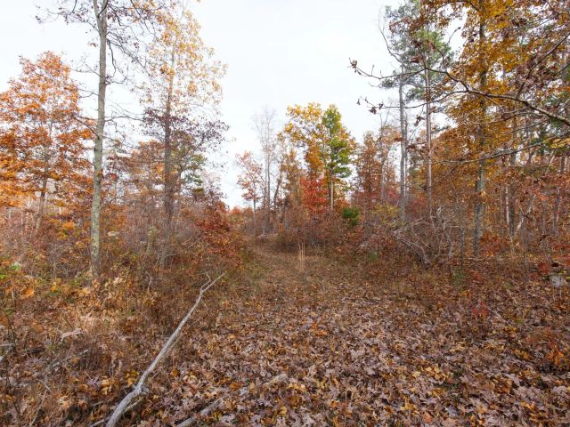 Hawkcrest Tract 31 in Reynolds County, MO