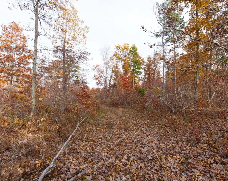 Hawkcrest Tract 31 in Reynolds County, MO