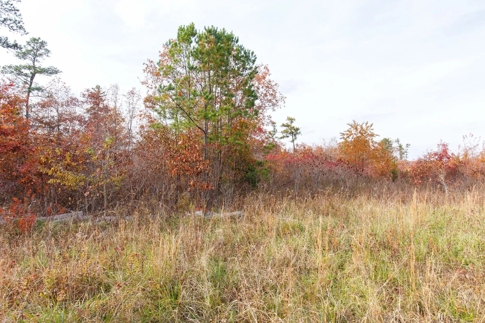 Hawkcrest Tract 31 in Reynolds County, MO