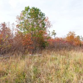 Hawkcrest Tract 31 in Reynolds County, MO