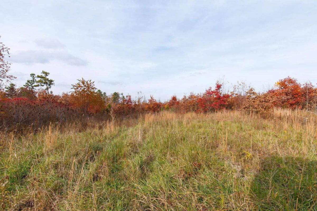Decorative background for Hawkcrest Tract 31 image 6