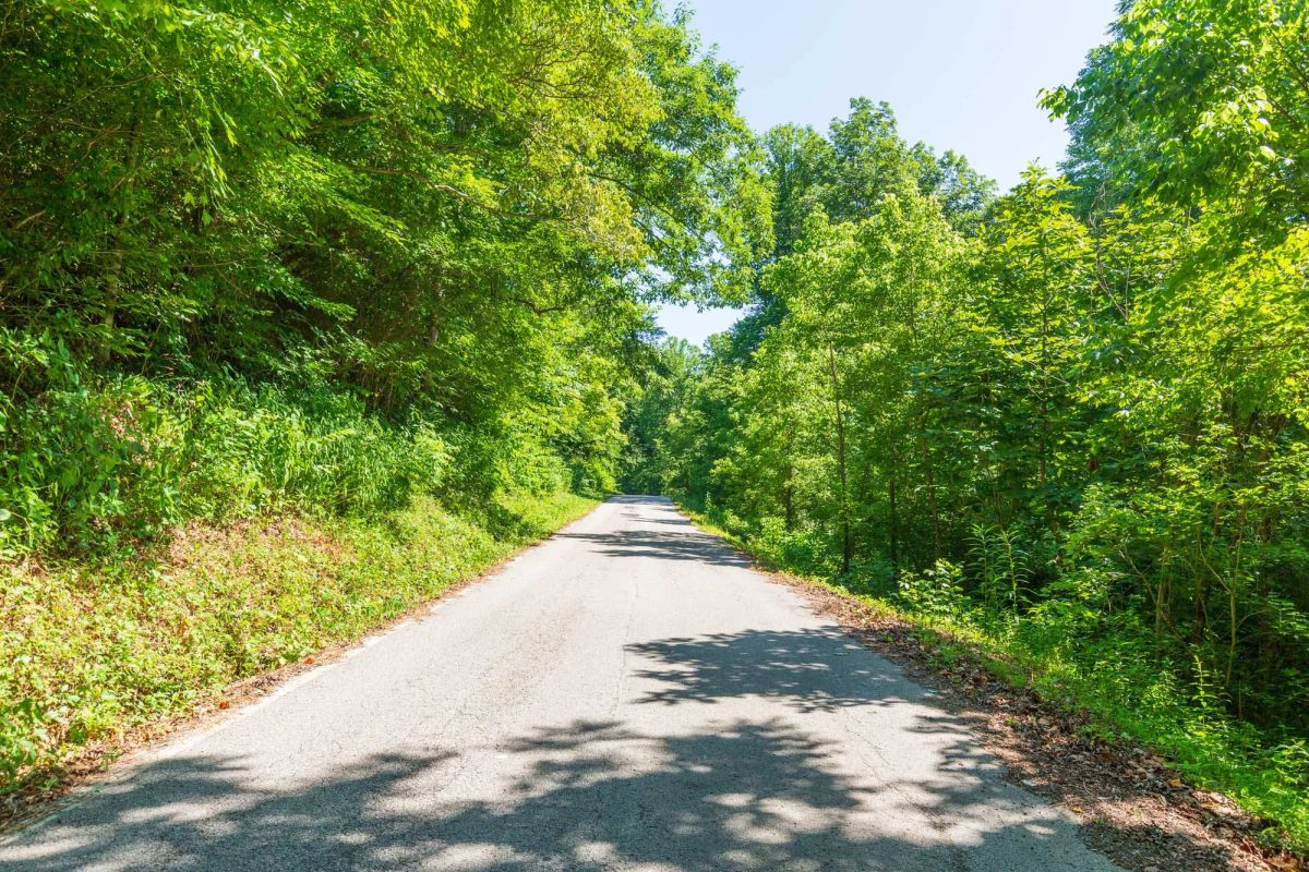 Decorative background for River’s Edge Tract 5 image 8
