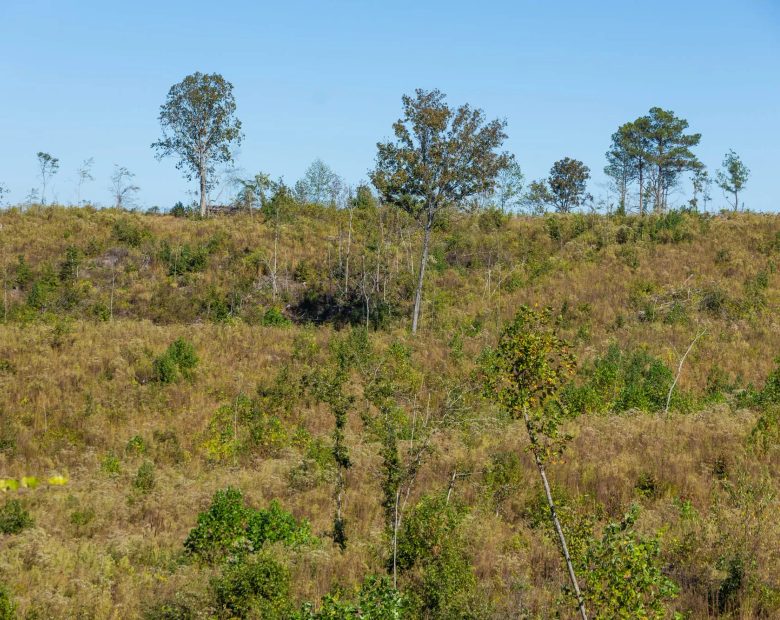 Meyer’s Ridge Tract 19 in Attala County, MS