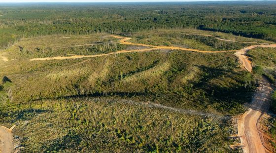 Meyer’s Ridge Tract 19 in Attala County, MS