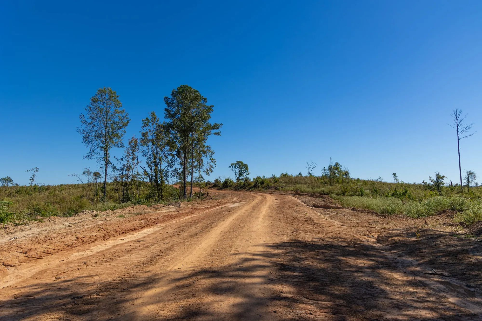 Meyer’s Ridge Tract 19 in Attala County, MS