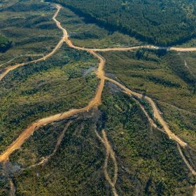 Meyer’s Ridge Tract 19 in Attala County, MS