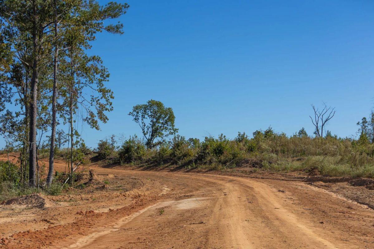 Decorative background for Meyer’s Ridge Tract 19 image 8