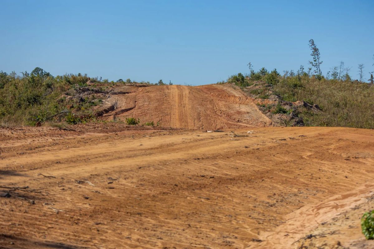 Decorative background for Meyer’s Ridge Tract 19 image 10