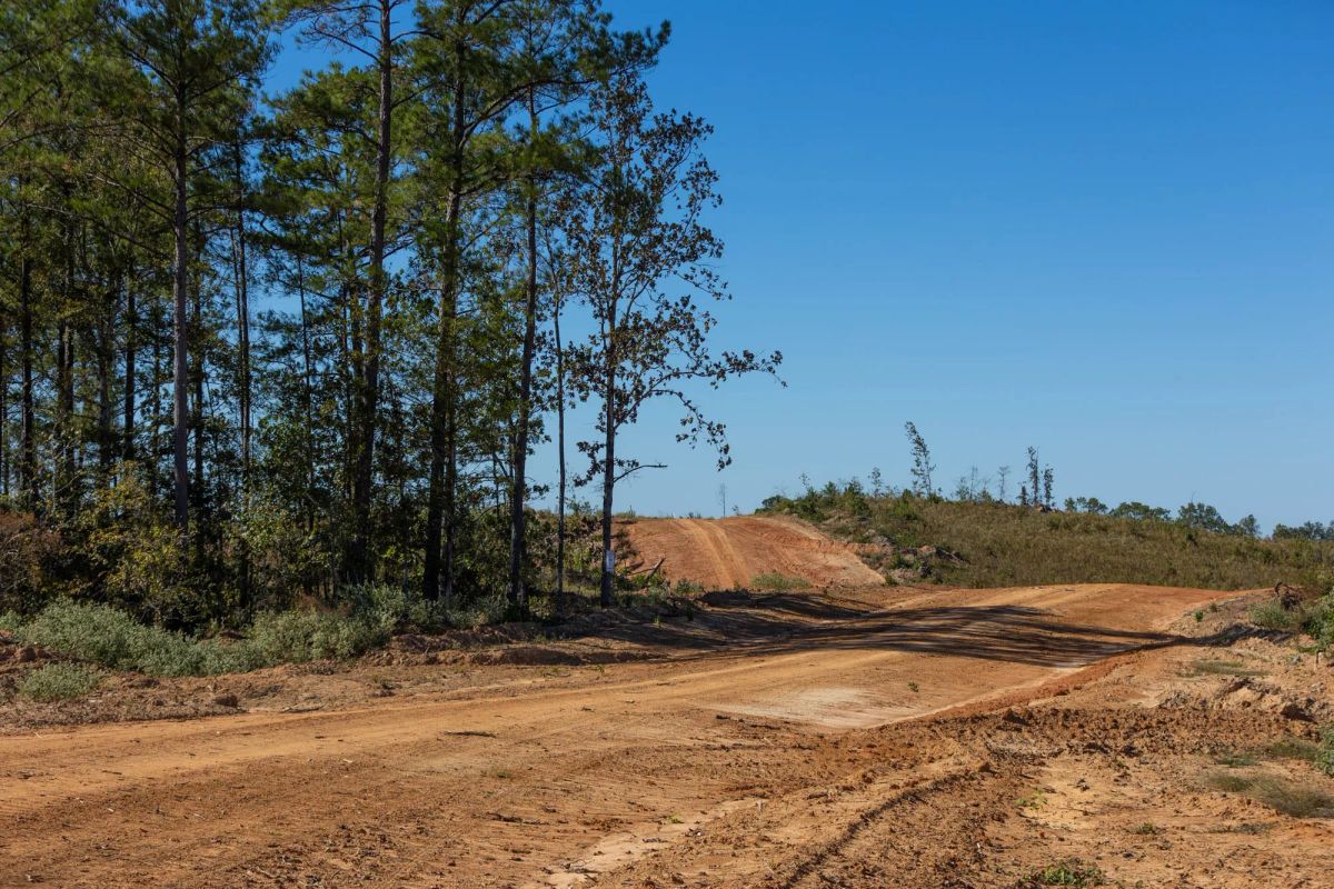 Decorative background for Meyer’s Ridge Tract 19 image 15