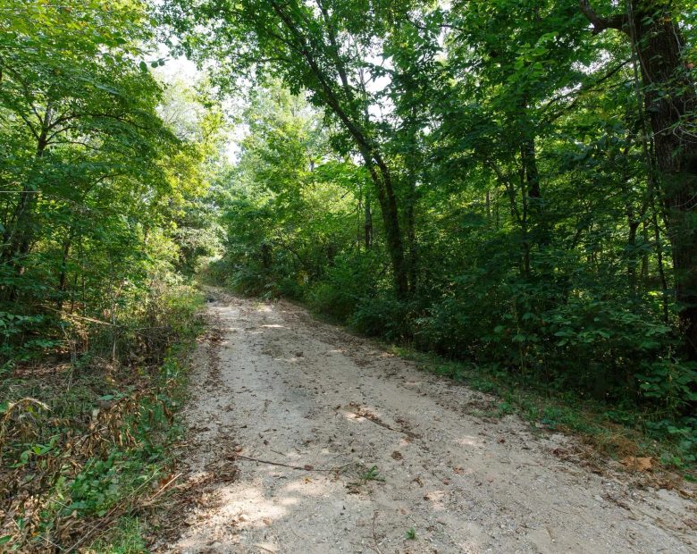 Spring Lake Plat 2 Tract 11 in Miller County, MO